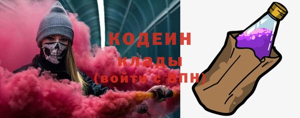 ГАЛЛЮЦИНОГЕННЫЕ ГРИБЫ Богданович