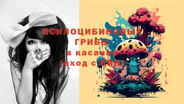 ГАЛЛЮЦИНОГЕННЫЕ ГРИБЫ Богданович