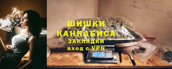 ГАЛЛЮЦИНОГЕННЫЕ ГРИБЫ Богданович