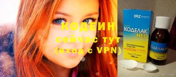 ГАЛЛЮЦИНОГЕННЫЕ ГРИБЫ Богданович