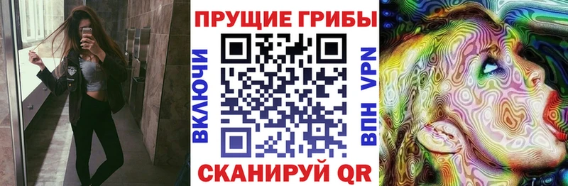 Псилоцибиновые грибы мухоморы  закладки  Пионерский 